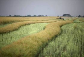 США призывают Украину стать сельскохозяйственной сверхдержавой